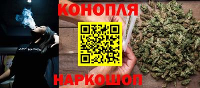 гидропоника Камышлов