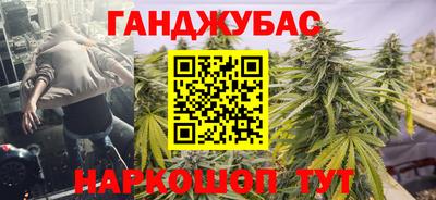 гидропоника Камышлов