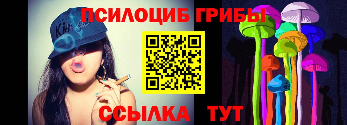 Псилоцибиновые грибы MAGIC MUSHROOMS  Вход с VPN  Верхний Уфалей 